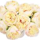 MECCANIXITY Artificial Flower Heads, Silk Peony Leaf Plants Hydrangea Champagne Color Faux Flowers for DIY Craft Wedding and Party Decoration Pack of 10