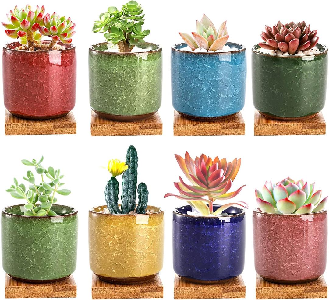 Lawei 8 Pack 2.5 Inch Mini Succulent Plant Pot with Drainage and Bamboo Tray, Small Ceramic Cactus Plant Pot, Flower Pots Faux Plants Containers for Home Garden Office Decoration(Plants NOT Included)