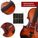 Rhythm Violin Set for Beginners,Acoustic Violins Starter Kit Package for Student,Beginners Fiddle with Hard Case, Rosin, Shoulder Rest, Bow, and Extra Strings (NATURAL, Full)