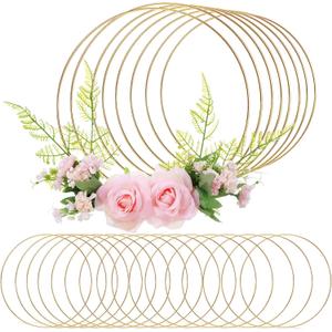 Sratte 24 Pcs Metal Floral Hoop Macrame Gold Rings Metal Hoops Bulk for Crafts Metal Circle for DIY Wedding Birthday Wreath, Dream Catchers, Wedding Wall Hanging Decor (10 Inch)