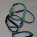 Roses&Poetry Bluegreen Small Dog Collar and Leash Set, Puppy Reflective Leashes with Collars, Adjustable Durable Matching Collar Leash for Small Dogs Girl (Bluegreen-S)