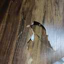 Tribesigns Round Coffee Table, 31.7" Wooden 2-Tier Circle Coffee Table with Storage Shelves, Modern Accent Cocktail Table Center Table for Living Room, Rustic Brown