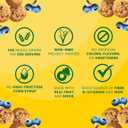 belVita Energy Snack Bites, Blueberry and Sunflower Seed, 5 oz (EXP 04/20/26)