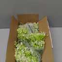 KHOYIME Artificial Flowers for Outdoor Decoration, 12PCS Faux White Petunias Silk Flowers UV Resistant Realistic Fake Plants for Outside Planters Garden Porch Yard Spring Summer Indoor Decor