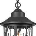 zeyu Modern Outdoor Hanging Porch Light, 14.6 Inch Outdoor Pendant Lights for Porch, Die-Cast Aluminum with Clear Water Ripple Glass, Black Finish, ZX48MH-WG BK (Large)