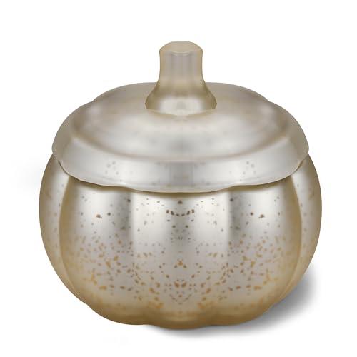 Scented Candles for Home Decoration - Aromatherapy Candles - Pumpkin Shaped - Cranberry Pumpkin | Thanksgiving Candle Gift Natural Soy Wax Candles