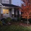 Seasons Giant 30" Posable Spider with Mega Yard Web Outdoor Halloween Decoration, 23 x 18 Feet Web