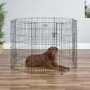 MidWest Homes for Pets 42-Inch Exercise Pen, for Indoor and Outdoor Use, 16 Sq Feet of Play, Single Door Folding Dog Pen, with Large Door Opening & Secure Latch, Easy to Set Up, Foldable Dog Playpen