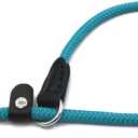 Braided Round Martingale Dog Collar, Training Collar with Slidable Stop Ring and Adjustable Stopper - Ideal for Small Dogs (S(1/4") - 14" Long, Light Blue)