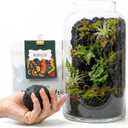 Terrarium Modeling Soil Mix, Glass-Adhesive, Terrarium Substrate, Adhesive Soil, Moss Wall, Vertical Natural-Looking for Miniature Scenes, Fairy Gardens & Plant Displays (16 oz)