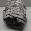 Bedsure Frost Gray Twin Blanket for Bed - GentleSoft Cozy Soft Blankets for Women, Cute Large Throws for Girls, 66x90 Inches