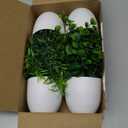 Der Rose Faux Plants Indoor, 4 Pack Small Fake Plants Mini Artificial Plants in Pots for Home Office Shelf Farmhouse Bathroom Decor (Green)