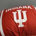 Pegasus Sports NCAA Plush Logo Bed Pillow, 20" x 26"