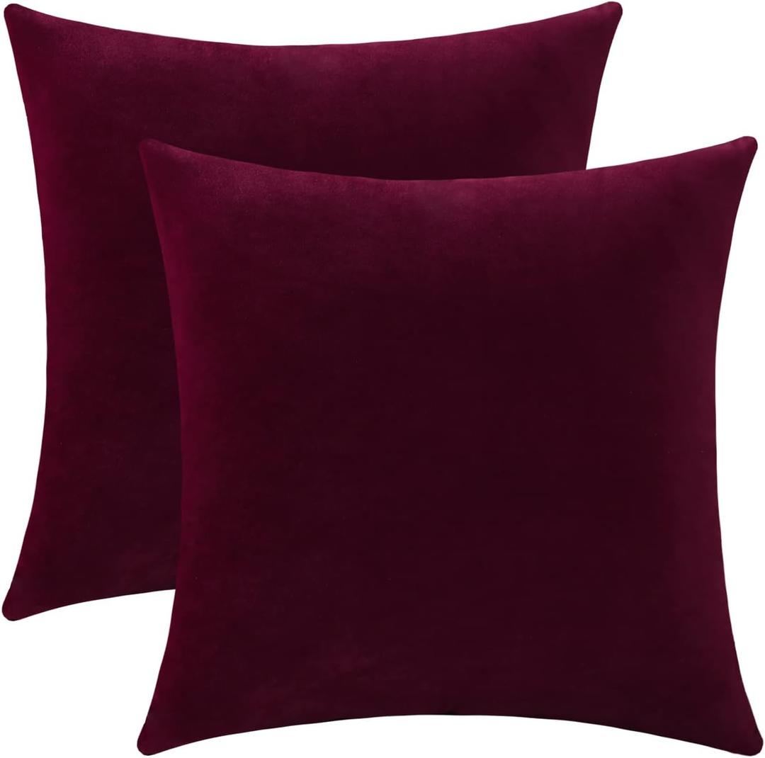Jeneoo Set of 2 Comfy Soft Thick Velvet Throw Pillow Covers for Sofa Couch Decorative Solid Square Cushion Cases for Bedroom Car (18 x 18 Inches, Burgundy Red)