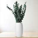 Dried Eucalyptus Decor – 20 Stems Dried Real Eucalyptus Preserved Greenery for Vase, Bathroom, Wedding Decor – Subtle Aroma, Rustic Boho Style