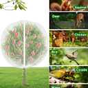 VITI Large Fruit Trees Netting Zipper - 2Pcs 10X10 FT with Drawstring Bird-Proof,Durable Mesh Covers for Blueberry,Apple,Pear,Peach,Orange Trees&Tomato Plants Bug Insect Protection Cover (2, 10X10 FT)