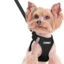 rabbitgoo Dog Harness Small Sized and Leash Set, Step in Soft Light Puppy Vest, Breathable Mesh Pet Harness, Reflective for Safe Easy Walking, Black XXS