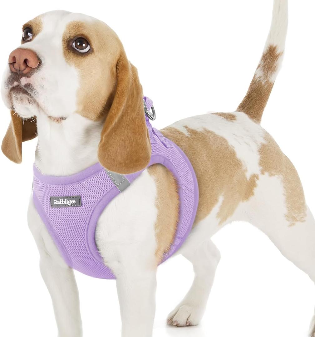 rabbitgoo Small Dog Harness, Step-in Soft Mesh Puppy Vest with Safety Buckle, Breathable Reflective Pet Harness for Small Sized Dogs, Light Purple M (M(Chest:16.0"-18.5"))
