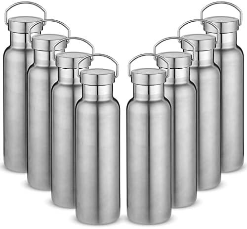 Neihepal 20 oz Insulated Water Bottles Bulk 10 Pack, Stainless Steel Double Wall Sport Bottle with Lid of Handle, Metal Reusable Thermoses Flask with Cup Cap for School, Hikers, Gift (Silver, Set of 10)