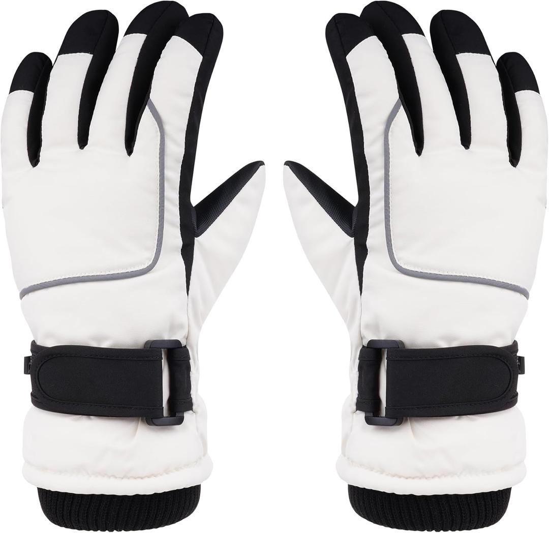 Pistha Winter Gloves Men Waterproof Gloves Thermal Ski Snow Gloves with Screen Touching for Cold Weather Outdoor Sports Work, L