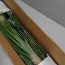 Artificial Bird of Paradise - Fake Plants Indoor Faux Tropical Palm Potted Dypsis Lutescens for Home Office Decor Housewarming (4FT-2Packs)