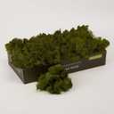 Preserved Reindeer Moss Natural Green DIY Kit Gardenning Art Wall Decor Florist Decor Easter Table Decor Wedding (0.85 lb)