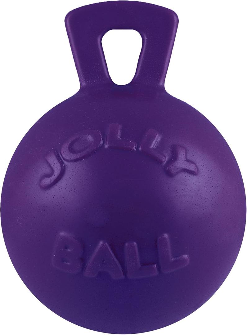 Jolly Pets Tug-n-Toss Heavy Duty Dog Toy Ball with Handle, 6 Inches/Medium, Purple