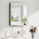 20 x 26 in Brushed Nickel Medicine Cabinet with Mirror, DTC Hinge