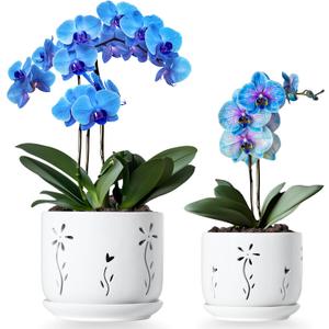 2 Pack, 5 + 6 Inch White Orchid Pots with Holes and Saucer, Ceramic Orchid Planters for Repotting with Drainage Holes and Tray, Plant Flower Pot containers for Orchid Indoor Outdoor