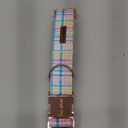 Unique style paws Dog Collar Metal Buckle Collar Gift for Boys Girls Dogs, Blue Pink