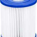 POOL FILTER CARTG I 2PK (2 Count (Pack of 1))