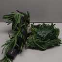 Artificial Plants Outdoor with Solar Light 25" Prelit Christmas Tree with Spike Pathway Light with 8 Lighting Modes for Xmas Decoration Yard Patio Garden Walkway Sidewalks Landscape-2 Pack Palm Tree