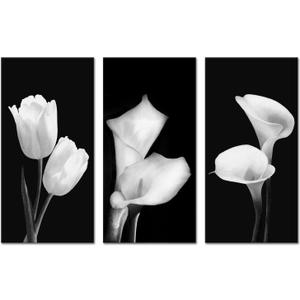 Artmyharbor Tulip Pictures Wall Decor 3 Pieces Canvas Floral Wall Art Black and White 12X24inch
