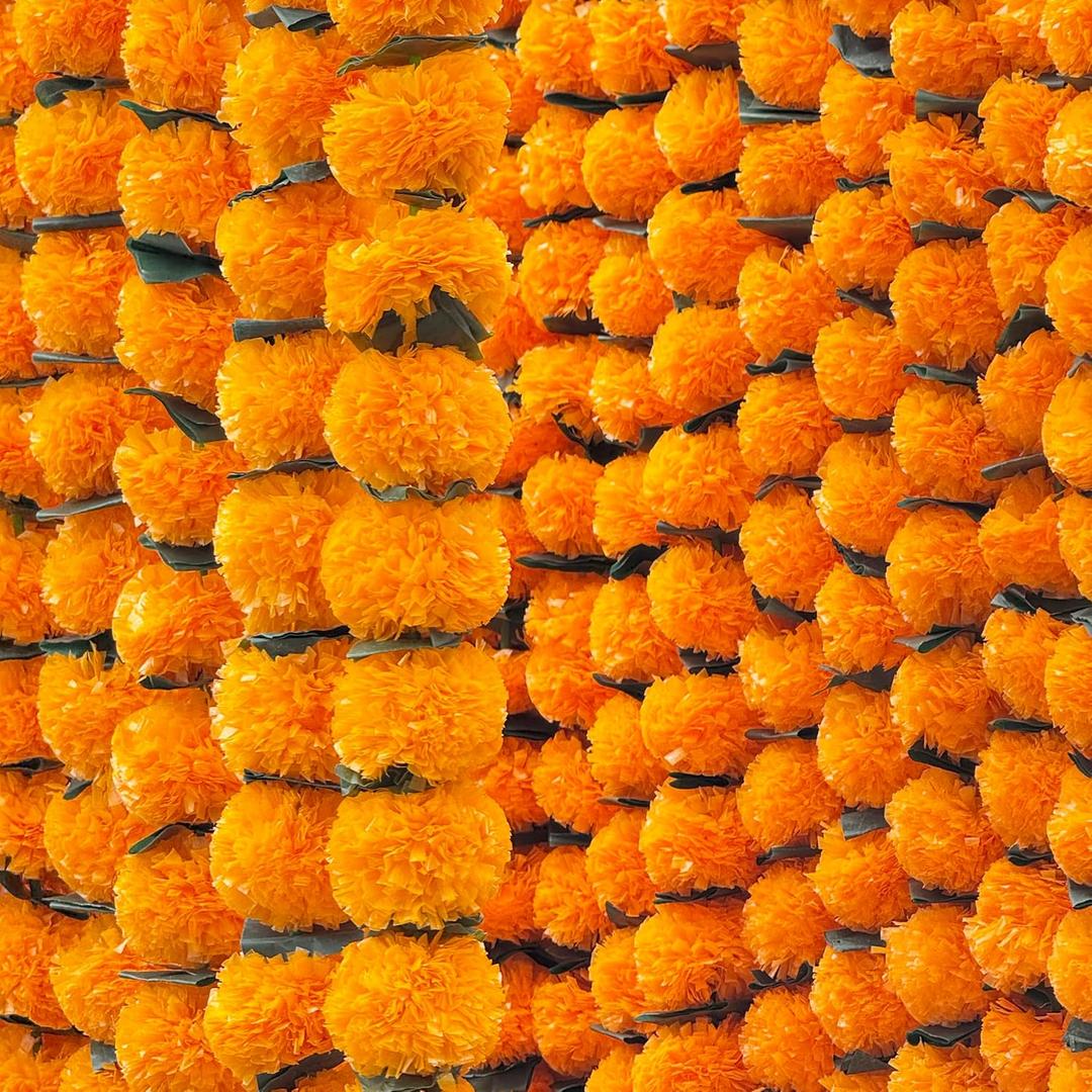 Marigold Garland for Decoration 4.8 feet Long Strands Artificial Marigold Flowers, Indian Dcor for Pooja, Wedding Christmas, Events (Orange + Green, 5) Marigold Garland for Decoration 4.8 feet Long Strands Artificial Marigold Flowers, Indian Dcor for Pooja, Wedding Christmas, Events (Orange + Green, 5)