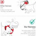 PoyPet No Pull Dog Harness, [Release at Neck] Reflective Adjustable No Choke Pet Vest with Front & Back 2 Leash Attachments, Soft Control Training Handle for Medium Dogs(Checkered Pink,M)