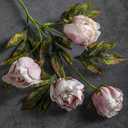 Thiccywoov 8 Pcs Faux Peony Stems Flowers Bulk Vintage Artificial Silk Peonies Stems Real Look Fake Peonies Branch for Vase Filler DIY Bouquet Centerpiece Home Indoor Outdoor Decor (Brownish)