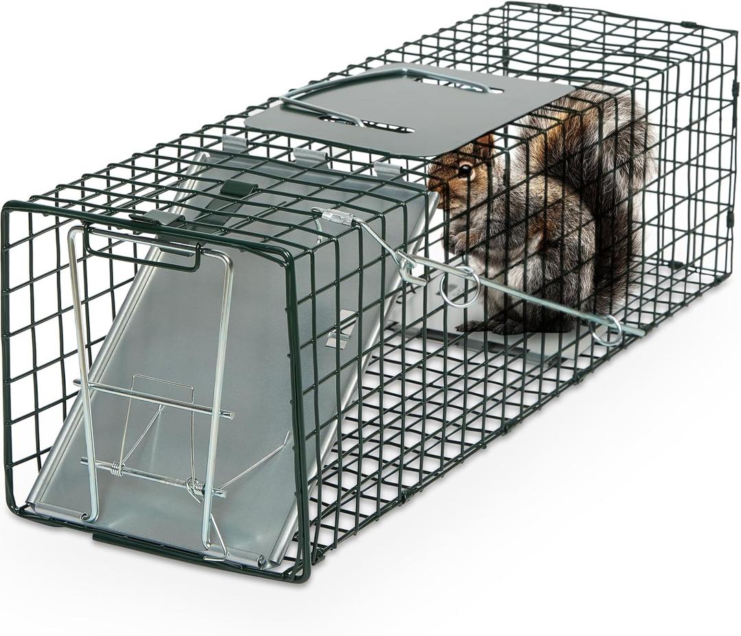 Humane Way Sentinel 24 Inch Live Animal Trap - No Assembly Required - Safe Small Traps for All Animals - Cat, Squirrel, Rabbit, Rodent - 24" L x 7.5" W x 7.5" H