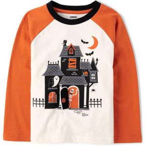 Gymboree Boys' and Toddler Embroidered Graphic Long Sleeve Raglan T-Shirts, Bunnys Tail, 2T