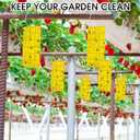 Qualirey 300 Sticky Trap for Gnats 3 x 5'' Dual Side Sticky Fruit Fly Trap with Tie Plant for Flying Insect Fungus Bugs Flying Catcher for Indoor (Yellow)