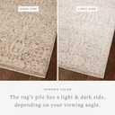 Loloi Clarisse Collection CLS-06 Fog/Bone 2'-0" x 3'-0" Fringe Accent Rug