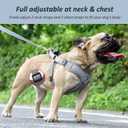 Dog Harness with Leash Set, Reflective Strips Adjustable Step in with Breathable Padded Vest Harness for Small Large Dogs Training and Running (S, Gray)