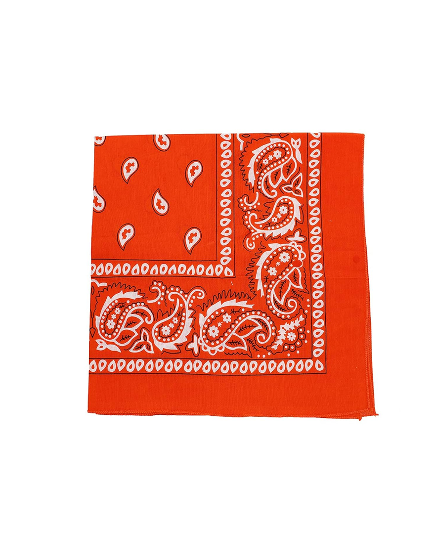 Large Paisley Bandana, 21x21 Inches, Pack Of 18