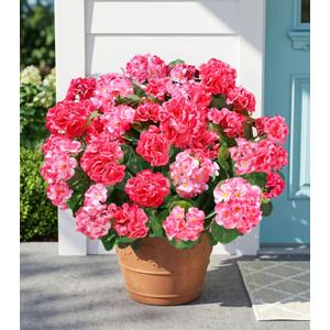 Fake Geraniums Artificial Flowers for Outdoors, 6 Bundles Silk Geraniums Flowers Realistic UV Resistant Fake Plants Faux Flowers for Outside Planters Front Door Garden Balcony Yard Porch Indoor, Mix
