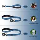 Mikivery Short Dog Leash with Comfortable Padded Handle Heavy Duty Clip for Training Walks Outdoor Suitable for Medium Large Dogs