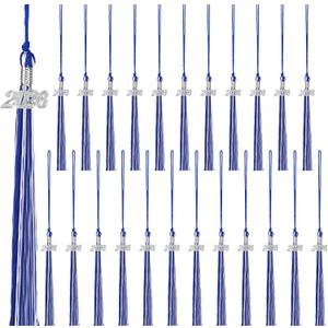 24 Pieces 2026 Graduation Tassel, Graduation Cap Tassels Decoration with 2026 Year Gold Date Charms, Grad Gifts for 2026 Year Grad Ceremonies Souvenir, Blue White