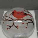 Large Crackle Glass Ball Cardinal Lamp, Light Up Red Cardinal Stained Glass Christmas Decor Accent Lamp, Lighted Red Bird Globe Table Light, Led Sphere Desk Lamp 