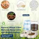 2 Pack Automatic Cat Feeder and Water Dispenser in Set Pet Food Bowl for Small Medium Dog Pets Puppy Kitten Big Capacity 1 Gallon x 2 (Cream)