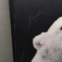 ElephantStock - Nothing Personal Wall Art - Square Canvas Wall Art - Living Room Wall Decor - Photography Polar Bear Canvas Art - Black And Gray Decor by Lars Van de Goor - 30" x 30"