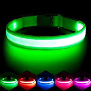 Vizpet LED Dog Collar, Light Up Dog Collar Adjustable USB Rechargeable Super Bright Safety Light Glowing Collars for Dogs(Medium,Green) (Medium[14.96-19.68 inch])