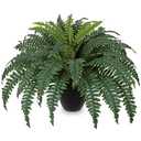 Hollyone Artificial Large Fern Boston Potted Plant for Outdoors & Indoor 25.5inch Faux Fake Fern Bush Plant in Pot for Patio Garden Farmhouse Windowsill Entrance Porch Office Living Room Home Decor